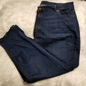 Lane Bryant Low Rise Straight Leg Blue Jeans